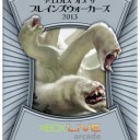 DotP2013　今更プロモ情報