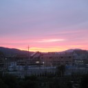 キキョウ　アジサイ　瀬田の夕照