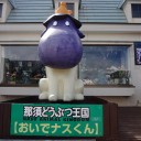 茄子