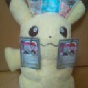 第三回ホウエンリーグ2011－2012　～頑張りました！　（子が。）