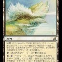 【トークン】ＧＰ横浜の優勝は白黒トークン！【ワラワラ】