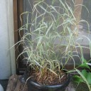 今年の後半　スタート