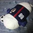 お迎えいたしました