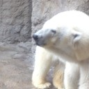 旭○動物園