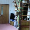 7月22日の日記