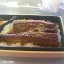 今日は暑かったので