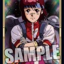 全滅娘スリーブ(追記)