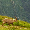 Monte Rosa - Chamonix Day 1 (Lac Blanc)