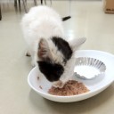 男も更年期に・・・・・