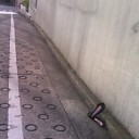 道玄坂に謎のバニーちゃん