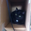 ねこ誕生日と自作セットについて①