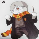 弟の土産トランプがヤバいシリーズ　12