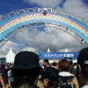 念願の。