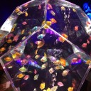 [日常] ナイトアクアリウム