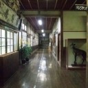 焼失