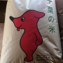 好きなゆるキャラはけんけつちゃんとチーバくん