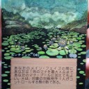 花の絨毯（拡張）←修正完了