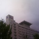 今日は
