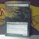 拡張アート 　MTG　《贖われし者、ライズ/Rhys the Redeemed》