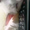 9月25日の日記