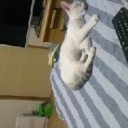 9月27日の日記