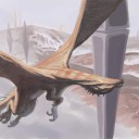 ドラゴンの突撃者