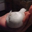 寝姿
