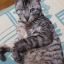 見にこられる方が多いのね＾＾；