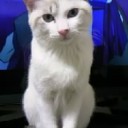 11月10日の日記