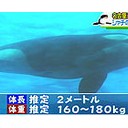 祝誕生