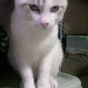 11月20日の日記