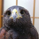 ちょっと　自撮りに挑戦ｗ