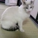 12月30日の日記