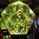 アートアクアりウム展