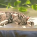 血のつながり