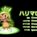 非MTG 　ポケモンの新御三家