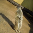 東武動物園　レポ２