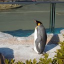 東武動物園　レポ３