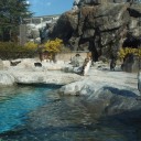 東武動物園　レポ３