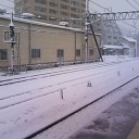 雪やこんこ