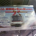 春の便り
