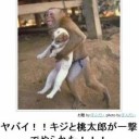 ボケて