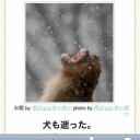 ボケて