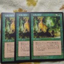 適当にカードを買う…と、いらみみさんに報告