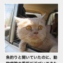 2月4日の日記