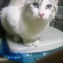 2月20日の日記
