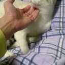 2月24日の日記