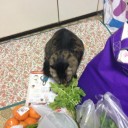 ベジタリニャン