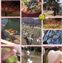 かんたんなの