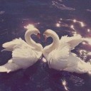 ほっとしたので。